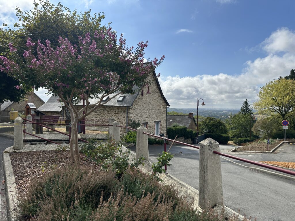 IMG 0388